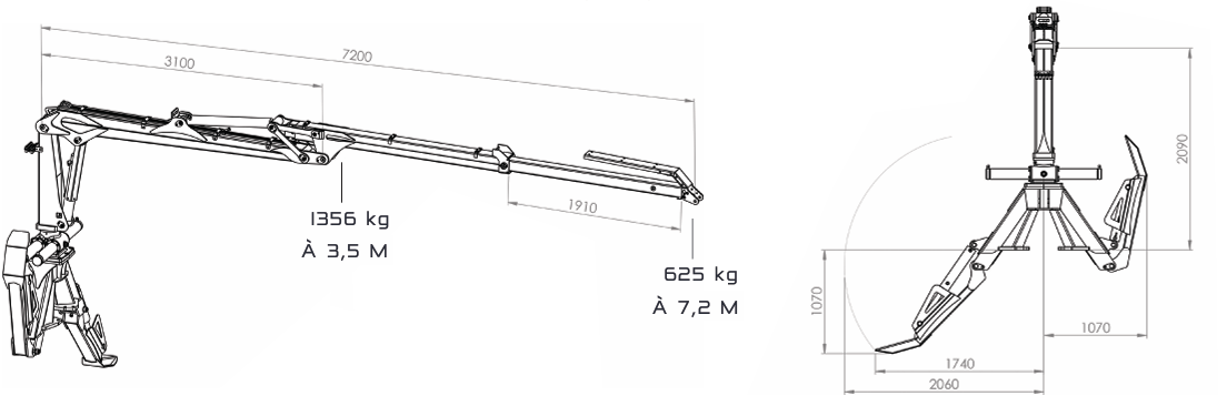 Grue forestière